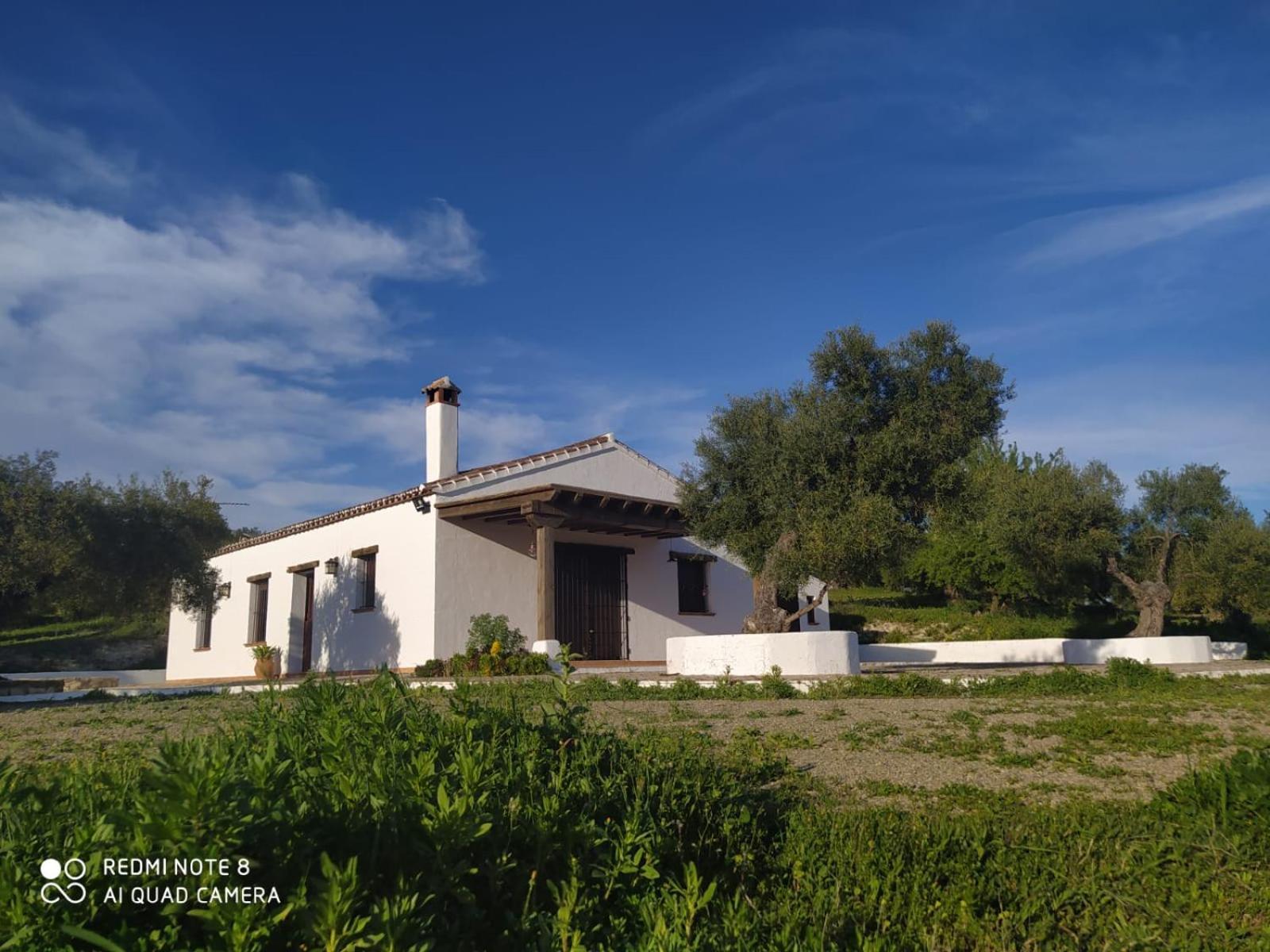 Casa Rosario * Algodonales